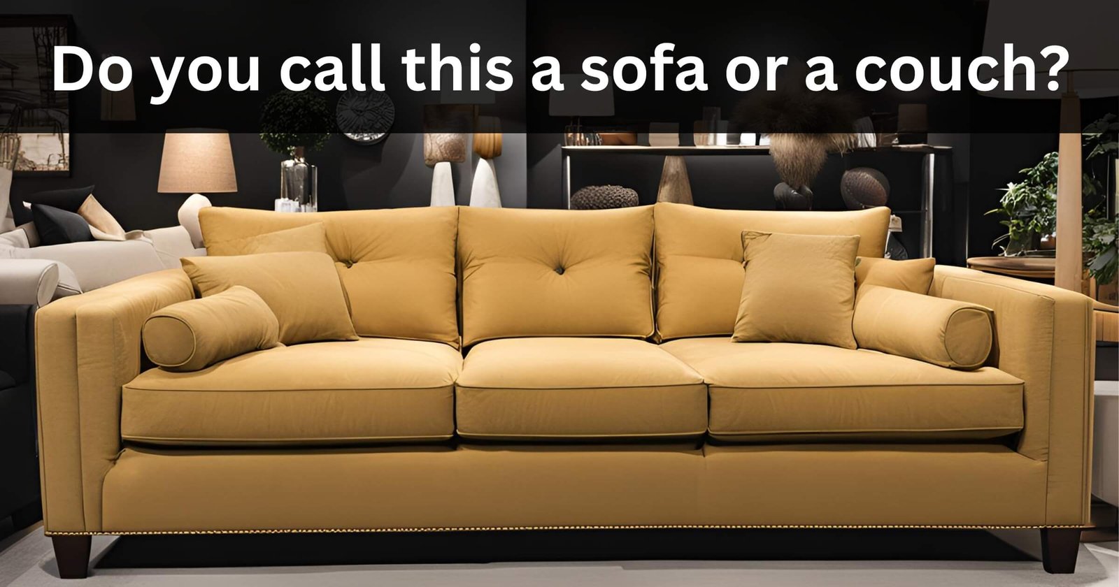 an example image of a post that furniture fuel did on Facebook asking if people call "this" a sofa or a coach?